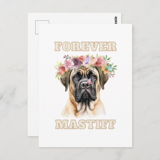 Niedlicher und lustiger englischer Mastiff Hund mi Postkarte (Vorne/Hinten)