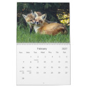 Niedlicher und sonniger Rotfüchskalender Kalender (Feb 2027)