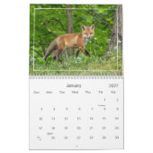 Niedlicher und sonniger Rotfüchskalender Kalender (Jan 2027)