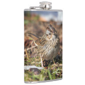 Niedlicher und spunky Lincolns Sparrow Flachmann (Rechts)