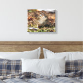 Niedlicher und spunky Lincolns Sparrow Leinwanddruck (Insitu (Schlafzimmer))