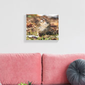 Niedlicher und spunky Lincolns Sparrow Leinwanddruck (Insitu (Wohnzimmer))