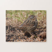 Niedlicher und spunky Lincolns Sparrow Puzzle (Horizontal)
