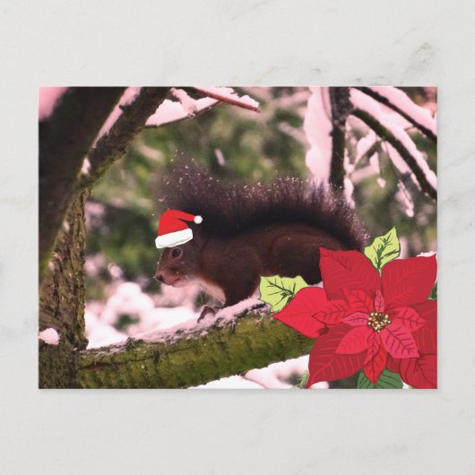 Niedlicher Urlaub Gruß Postkarte (Vorderseite)