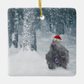 Niedlicher Urlaubspocupine im Waldschmuck Keramikornament (Vorderseite)