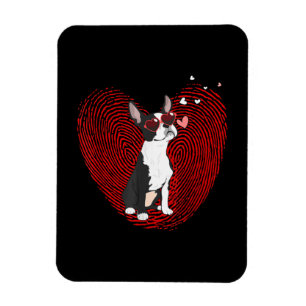 Niedlicher Valentinstag Boston Terrier Graphic Hea Magnet