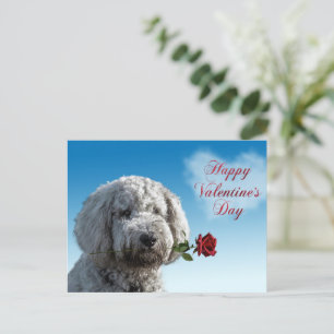Niedlicher Valentinstag Doodle Dog Postkarte