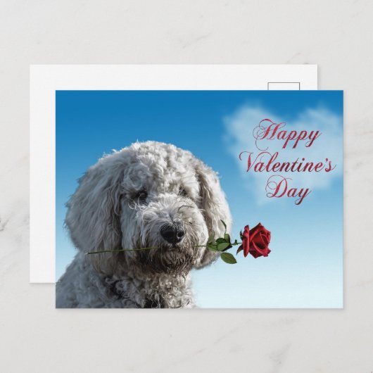 Niedlicher Valentinstag Doodle Dog Postkarte (Vorne/Hinten)