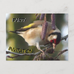 Niedlicher Verzehr Goldfinch Party Einladung Postk Postkarte