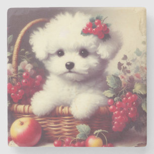 Niedlicher Vintager Bichon Frisé Malerei Steinuntersetzer