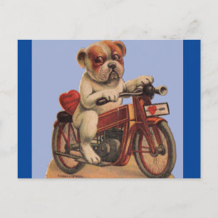 Niedlicher Vintager Hund auf Motorrad Valentine Po Postkarte