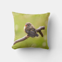 Niedlicher Vogel, der an einem Sommertag fröhlich
