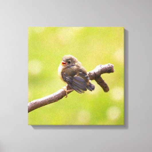 Niedlicher Vogel, der an einem Sommertag fröhlich  Leinwanddruck (Vorderseite)