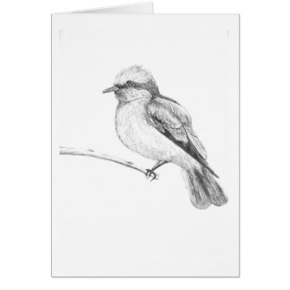 Niedlicher Vogel, der jeder Aufmerksamkeit fängt