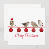 Niedlicher Vogel mit Weihnachtsmannmütze Frohe Wei (Vorne/Hinten)