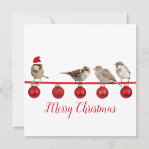 Niedlicher Vogel mit Weihnachtsmannmütze Frohe Wei