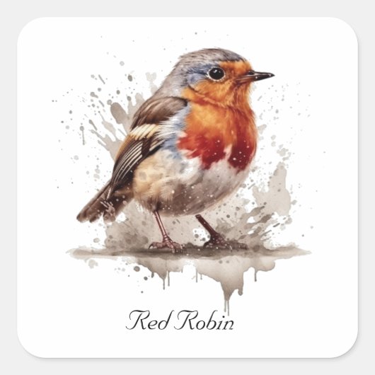 Niedlicher Vogelrobin in Aquarellfarben Quadratischer Aufkleber (Vorderseite)