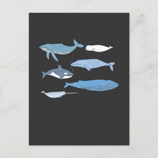 Niedlicher Wal Zeichnend Bildung von Meerestieren Postkarte (Vorderseite)