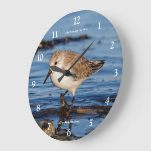 Niedlicher wandernder Sanderling Ufervogel Schnepf Große Wanduhr