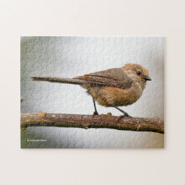 Niedlicher Wee Bushtit Songbird auf Obstbaum Puzzle