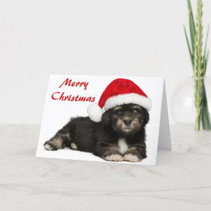 Niedlicher WeihnachtenHavanese Welpen-Hund Feiertagskarte