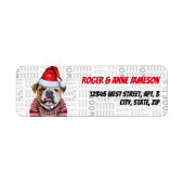 Niedlicher Weihnachtsbollenhund in einer Scarf-Rüc (Vorne)