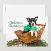 Niedlicher Weihnachtsboston-Terrierwelpe Feiertagskarte (Vorne/Hinten)