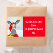 Niedlicher Weihnachtsfeiertag Bunny Rabbit bearbei (Insitu)