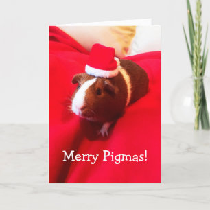 Niedlicher Weihnachtsfeiertag Guinea Weihnachten