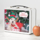 Niedlicher Weihnachtshund mit Weihnachtsbaum Metall Brotdose (Beispiel)