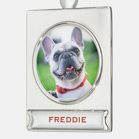 Niedlicher Weihnachtshund oder Katze Foto Urlaub Banner-Ornament Silber (Links)