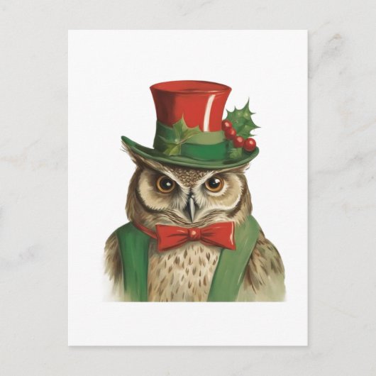 Niedlicher Weihnachtskauz Postkarte (Vorderseite)