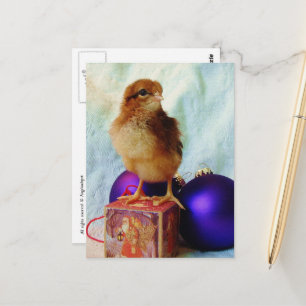Niedlicher Weihnachtsküken Postkarte