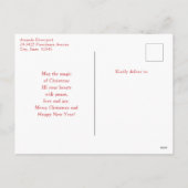 Niedlicher Weihnachtsmann Feiertagspostkarte (Rückseite)