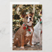 Niedlicher Weihnachtsrettungswagen und America Bul Briefpapier (Vorne/Hinten)