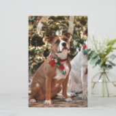 Niedlicher Weihnachtsrettungswagen und America Bul Briefpapier (Stehend Vorderseite)