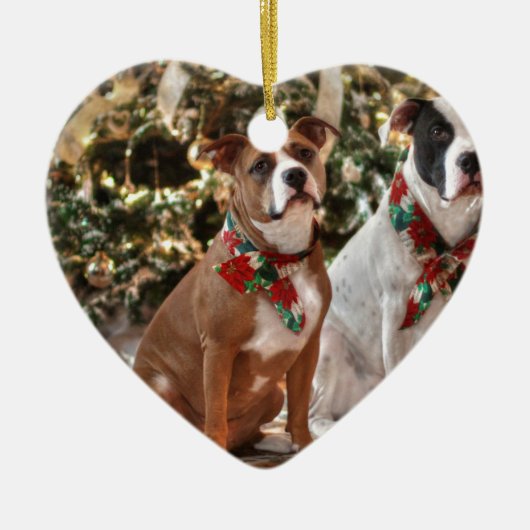 Niedlicher Weihnachtsrettungswagen und America Bul Keramikornament (Vorne)