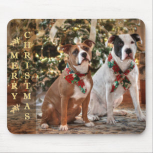 Niedlicher Weihnachtsrettungswagen und America Bul Mousepad