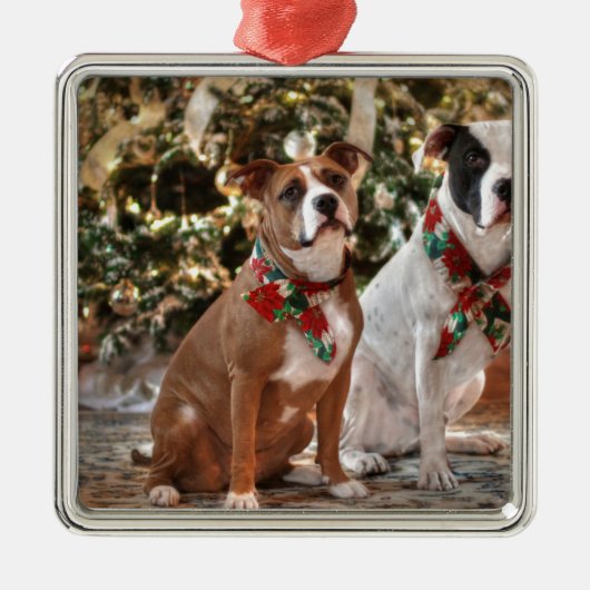 Niedlicher Weihnachtsrettungswagen und America Bul Silbernes Ornament (Vorne)