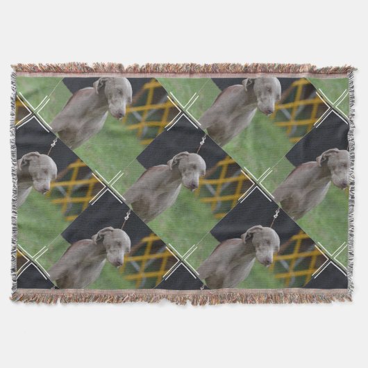 Niedlicher Weimaraner Hund Decke (Vorderseite)