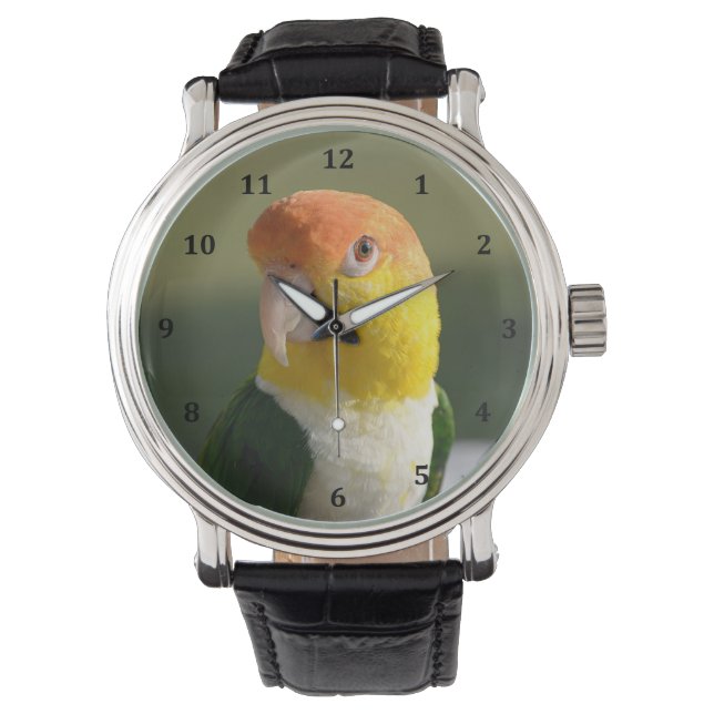 Niedlicher Weißer Blog Caique Parrot Armbanduhr (Vorderseite)