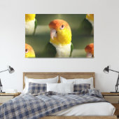 Niedlicher Weißer Blog Caique Parrot Leinwanddruck (Insitu (Schlafzimmer))