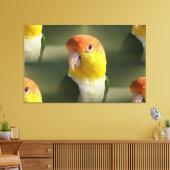 Niedlicher Weißer Blog Caique Parrot Leinwanddruck (Insitu (Wohnzimmer))