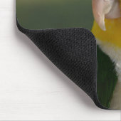 Niedlicher Weißer Blog Caique Parrot Mousepad (Ecke)