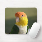 Niedlicher Weißer Blog Caique Parrot Mousepad (Mit Mouse)