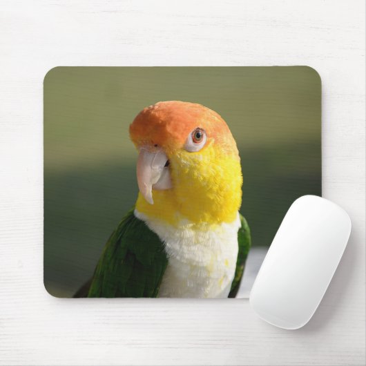 Niedlicher Weißer Blog Caique Parrot Mousepad (Mit Mouse)