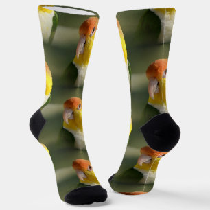 Niedlicher Weißer Blog Caique Parrot Socken