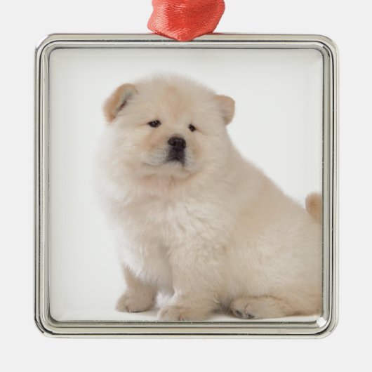 niedlicher weißer Chow-Chow Chow-Chow Ornament Aus Metall (Vorne)