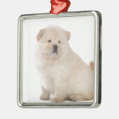 niedlicher weißer Chow-Chow Chow-Chow Ornament Aus Metall (Links)