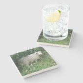 Niedlicher weißer, flauschiger Schafe, der Stone-U Steinuntersetzer (Seitenansicht)